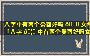 八字中有两个癸酉好吗 🐝 女命「八字 🦆 中有两个癸酉好吗女命详解」